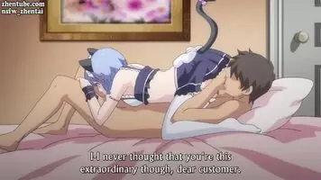 A Cat That Everyone Wants To Adopt !