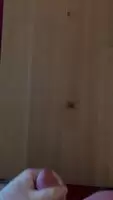 Another load for reddit