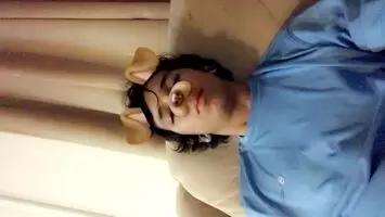 More dog filter