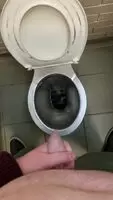 4 day load in a public toilet