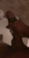 Milk this big dick