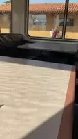 Quick Flash on the Train :)