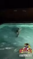 Water surprise