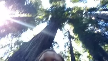 Got wood?