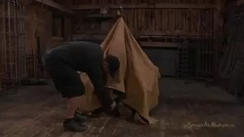 The human blowjob machine