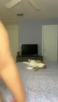 I thought this was cute and you might enjoy