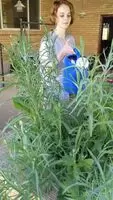 Help me water the garden?