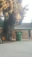 Naked and hungry in public