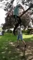 That's Just Unfortunate!
