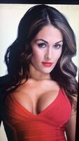 Sexy WWE superstar Nikki Bella makes my cock erupt a HUGE LOAD OF CUM on her hot face and big titties!!!!