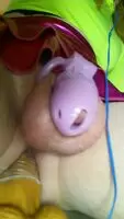 LA sissy, I'd much rather ride a real one tonight. Or make out with another sissy