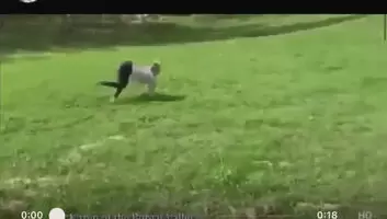 Mmmm butt
