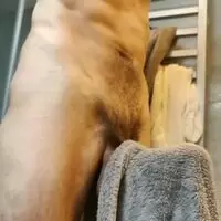 Do you need somewhere to hang your towel?