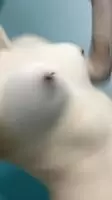 Shake your titties, you’ll eel better!