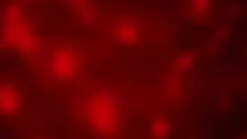 It's time for my annual post! Plot twist: It's a 58 second gif this time.