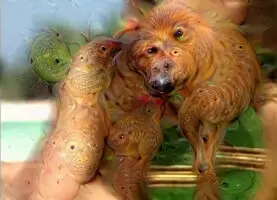 Tiffany Towers - Tentacles + Kiwi Birds #DeepDream