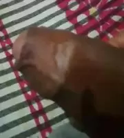 My uncut meat.