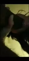 From Shane Diesel's twitter