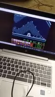 Lemmings and pussy!