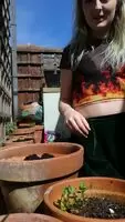 a touch of gardening