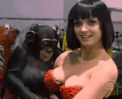 Katy Perry
