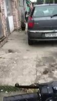 Street BlowJob Busted