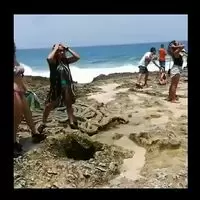 Lol