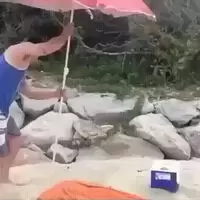 Nice umbrella holder
