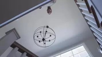 Daddy's Wakeup Call