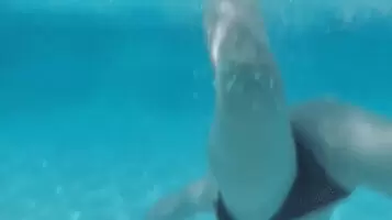 Swim with Stpeach