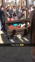 They Are Too Much Horny