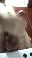 My own cum turns me on