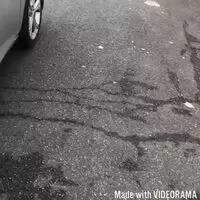 get out of the car naked on the road