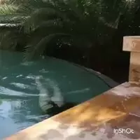 Gillian Barnes getting out of the pool