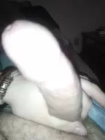 29m how's my cock?