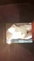 Another random tribute