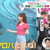 TWICE - Nayeon