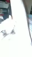 First time cumming to this sub