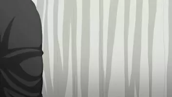 Curtain