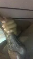 Is it still a trouser snake without the trousers