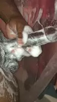 Care to join??