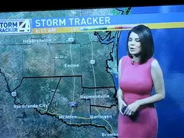 News anchor with huge pokies