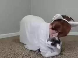 Cat Bite Leads to Exposure. ENF