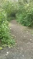 Shirtless chub wank and cum on hiking trail