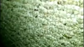 Real Mom Son Caught Fucking- With AUDIO