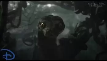 Scårlëtt Jøhanssøn