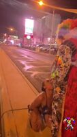 Whore gets pissed on on Vegas Strip in public