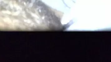 Half Indian Half White Solo