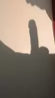 Shadow Puppet