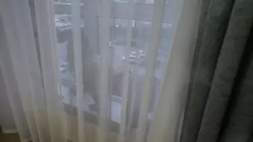 I told my pet to eat me while everyone watches